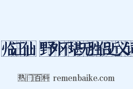 临江仙·野外不堪无胜侣近义词是什么意思的图片